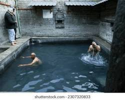 Shimla & Manali  Tour Package Image 4