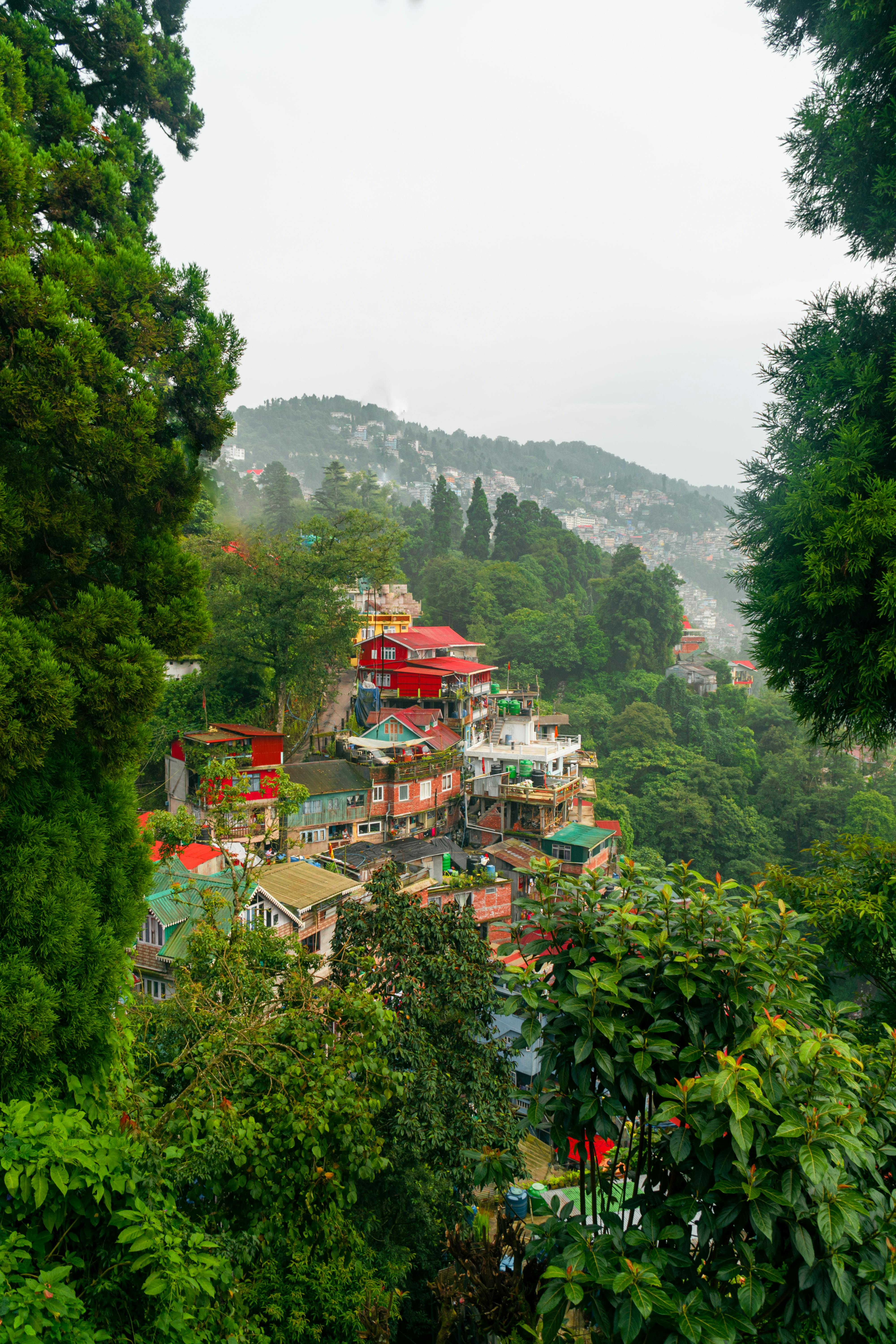 Darjeeling Tour Package Image 2