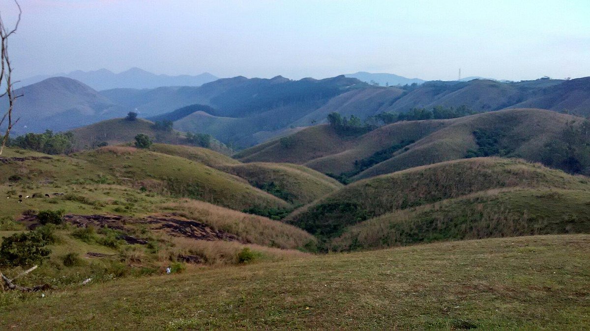 Cochin, Alleppey, Kumarakom and Vegamon Tour Package Image 10