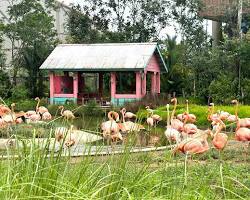 Singapore & Kuala Lumpur Tour Package Image 5