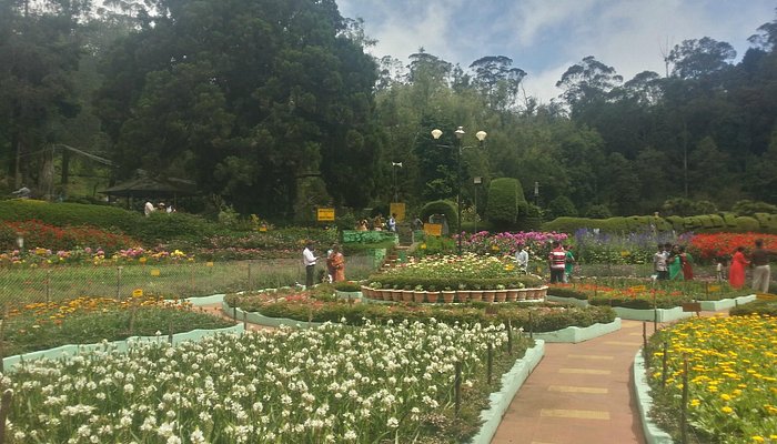 Kodaikanal & Madurai Tour Package Image 2