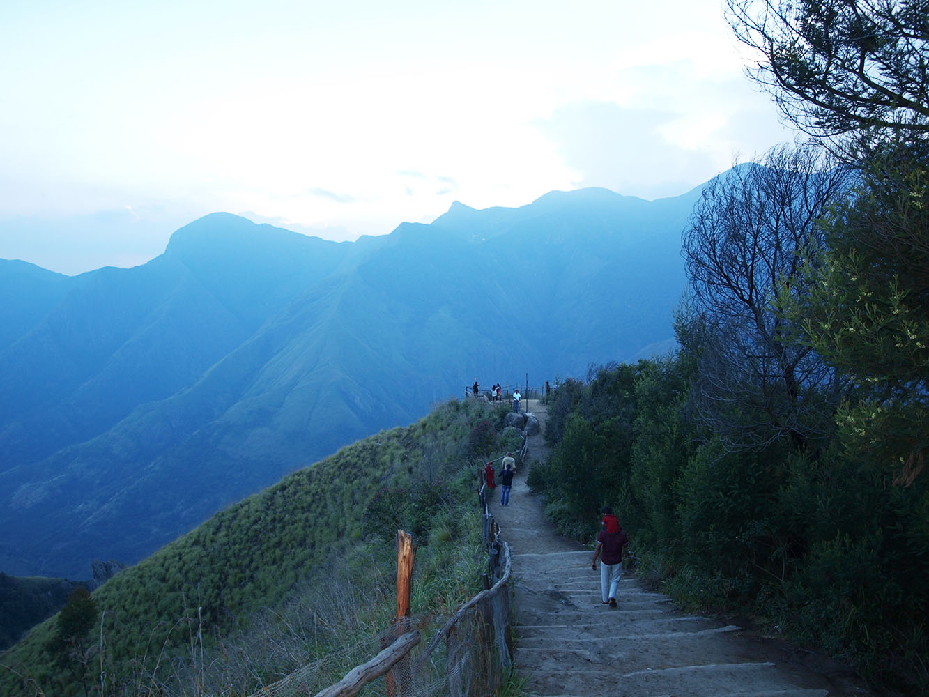 Munnar Tour Package Image 6