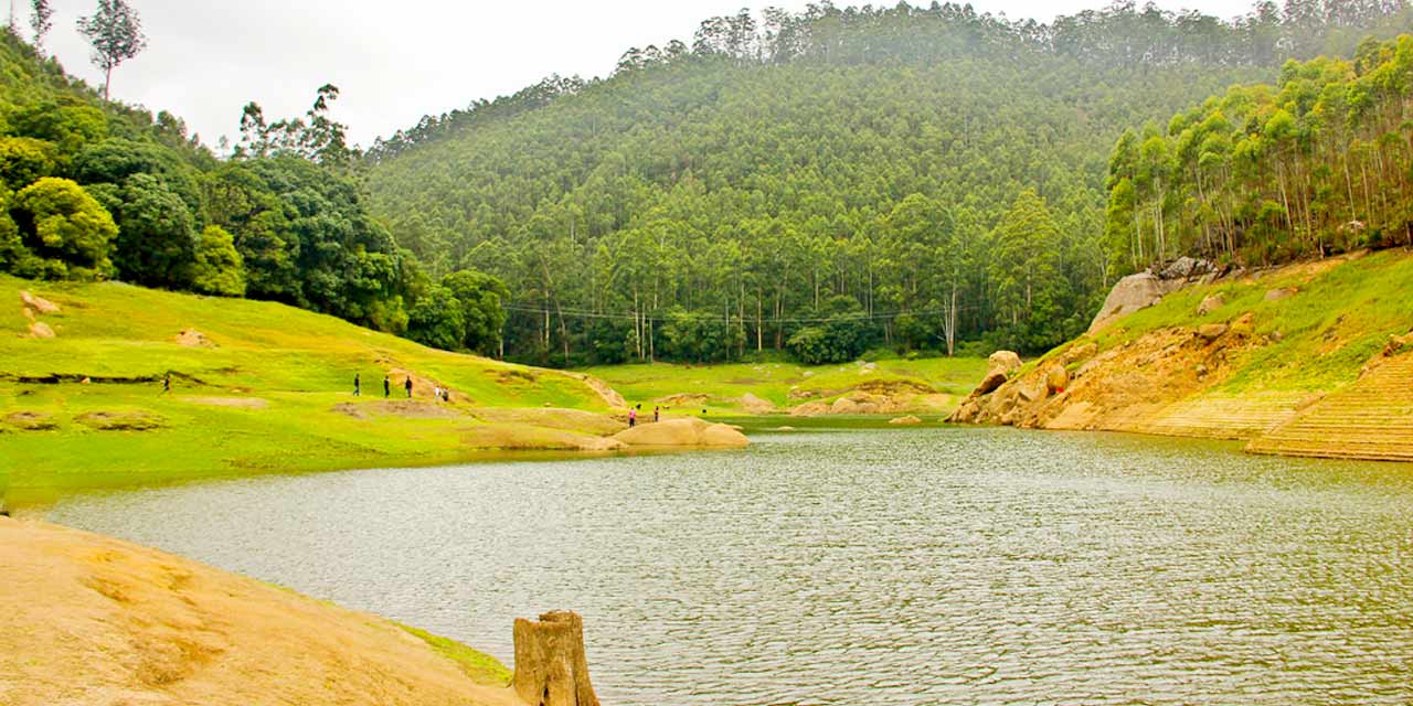 Munnar Tour Package Image 2