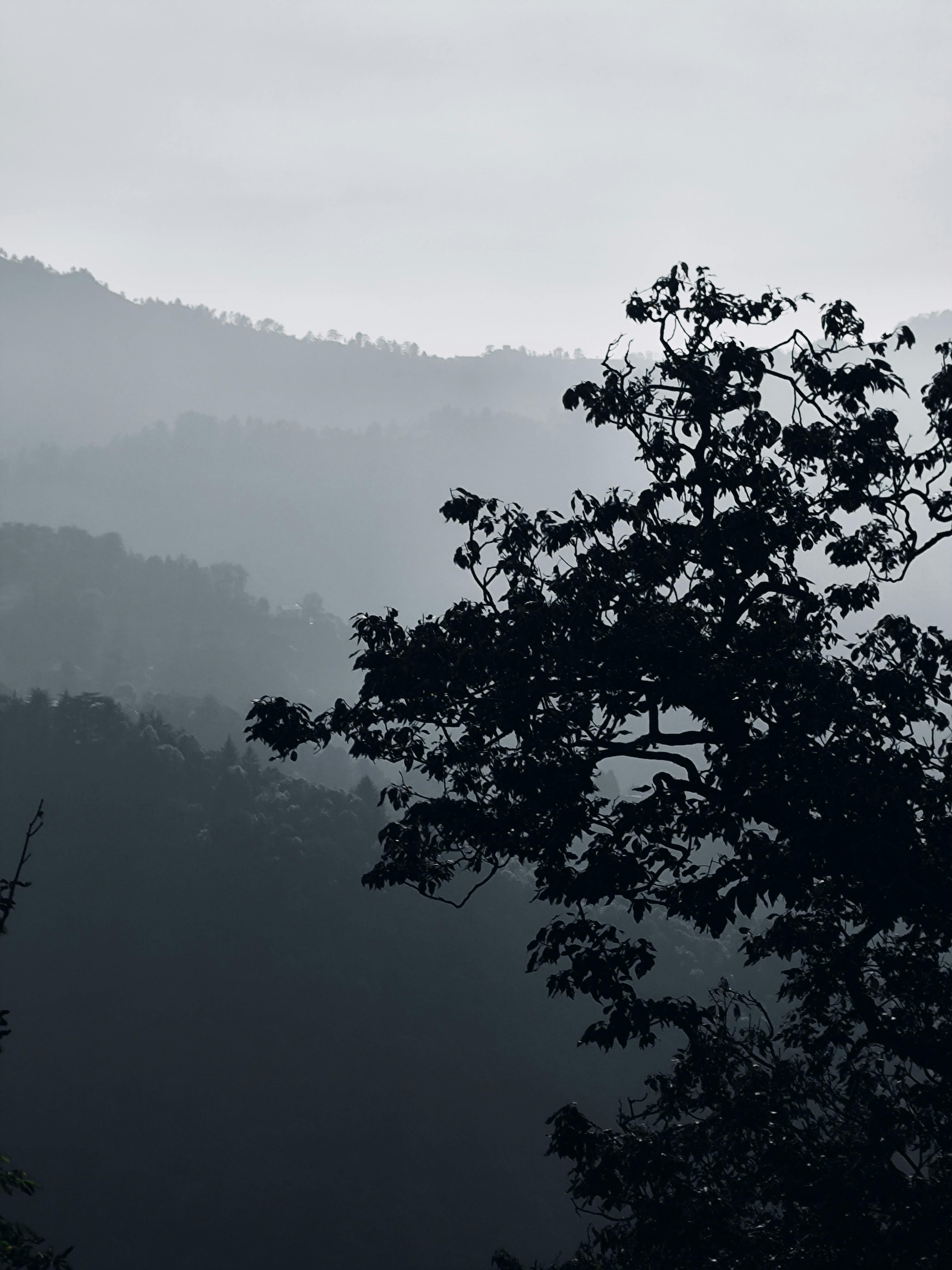 Mussorie Tour Package Image 1