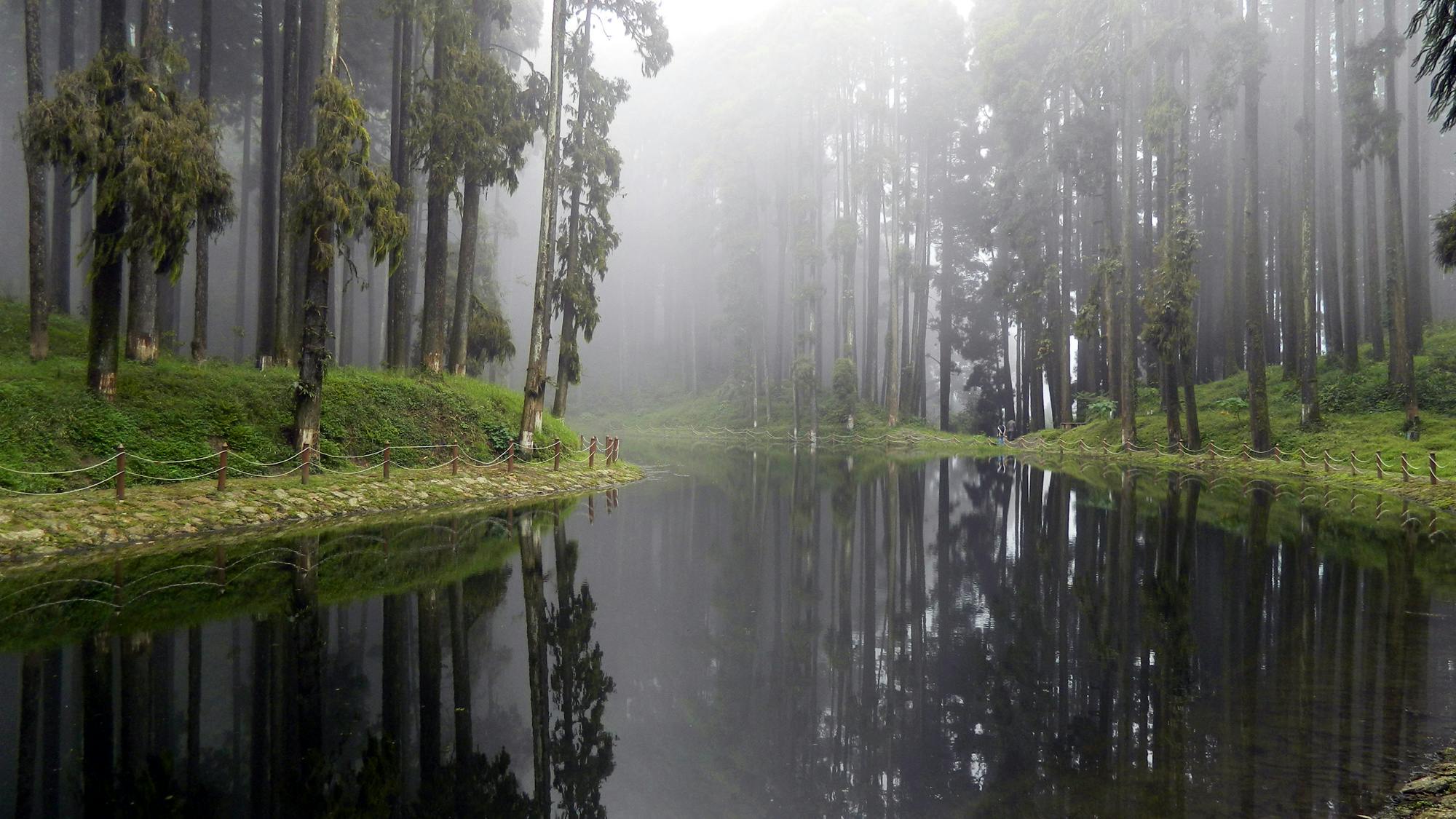 Darjeeling & Gangtok Tour Package Image 6
