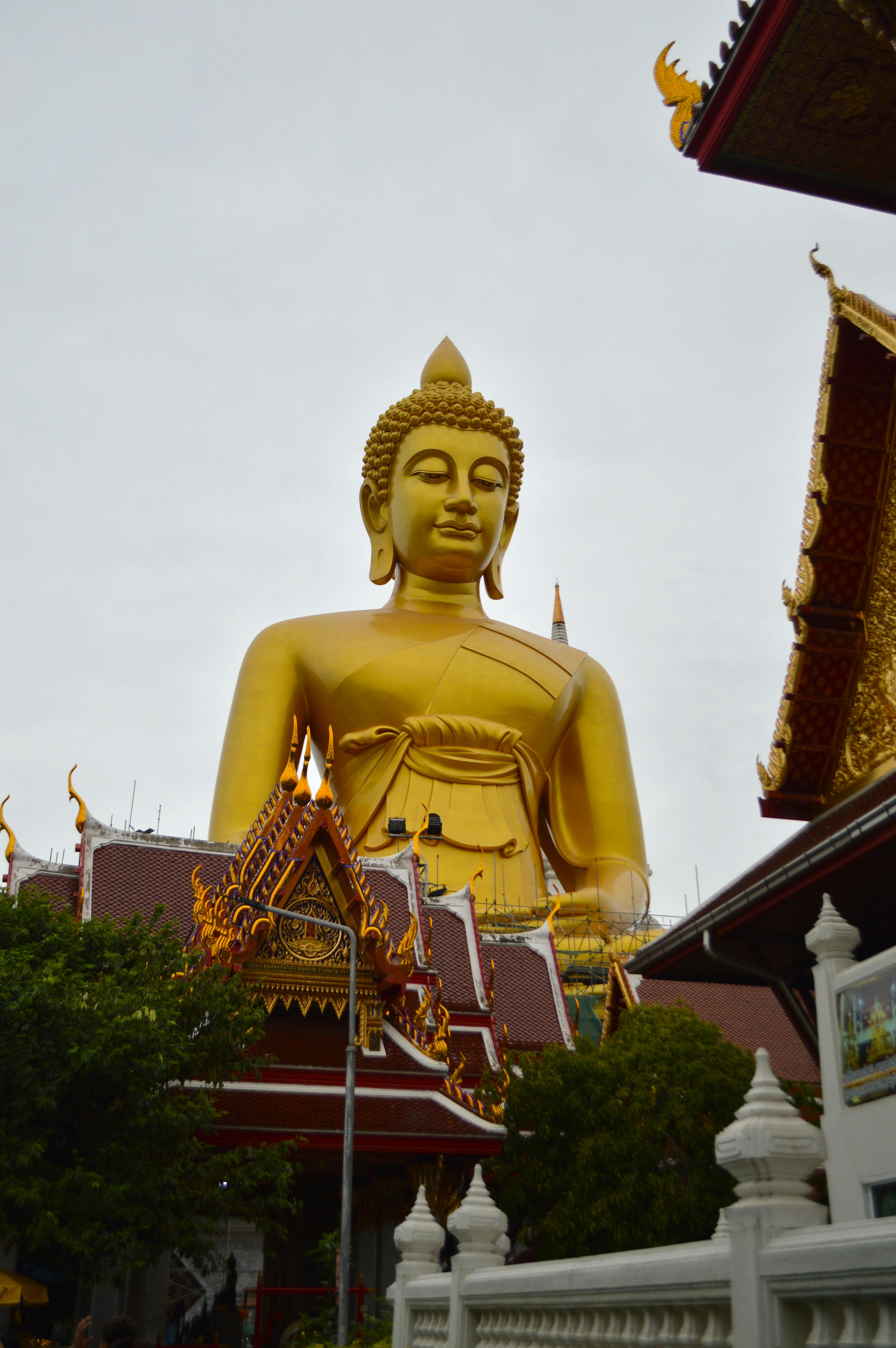 Bangkok & Pattaya Tour Package Image 3